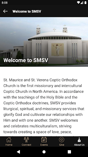 SMSV Screenshot 3
