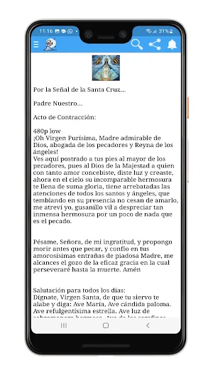 Virgen San Juan De Los Lagos Screenshot 3