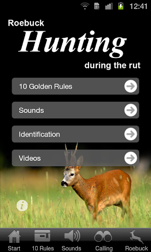 Roebuck Hunt Screenshot 0