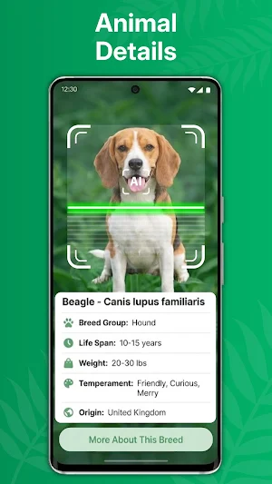 Identify: Ai Plant Identifier Screenshot 3
