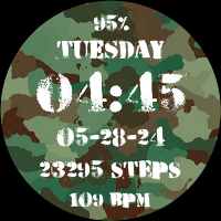 Army Camouflage Soldier Camo