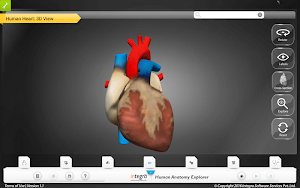 HumanAnatomy-Circulatory Screenshot 3