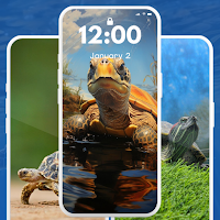Turtle and Tortoise Wallpaper