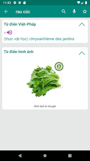 Vietnamese French Dictionary Screenshot 1