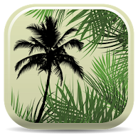 Palm ID Key