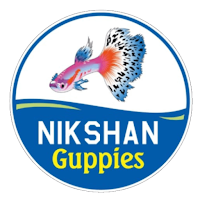 Nikshan Guppies