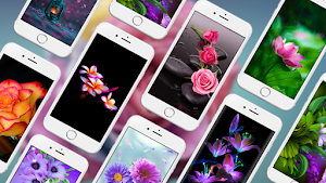 Flower Live Wallpapers Screenshot 0
