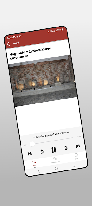 Muzeum Głogów Screenshot 3