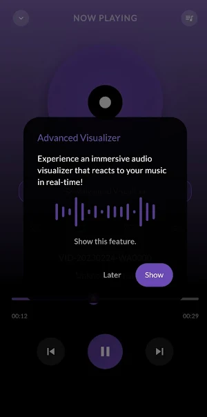 MX Player Screenshot 2