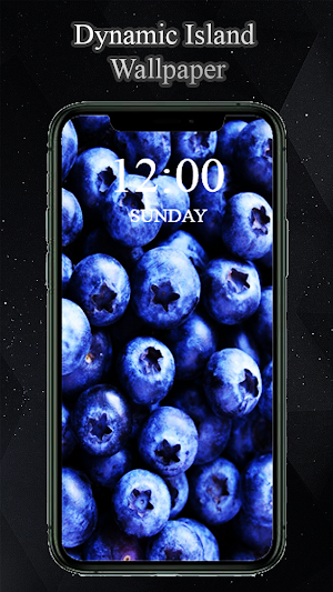 Dynamic Island Wallpaper 2024 Screenshot 1