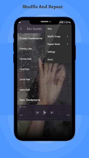 Rain Sounds Screenshot 2