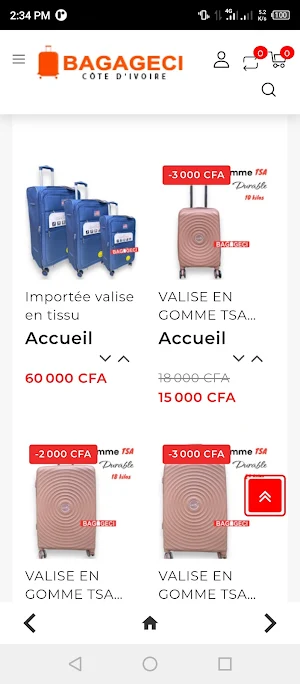 Bagageci Screenshot 1