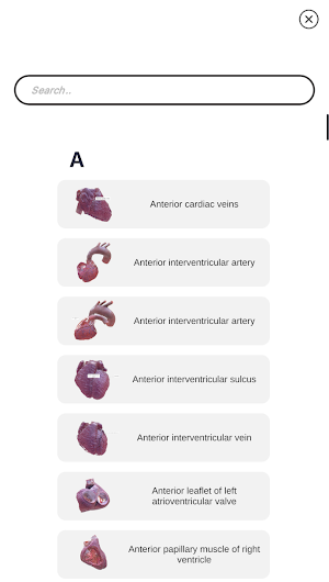 3D Heart Anatomy Screenshot 0