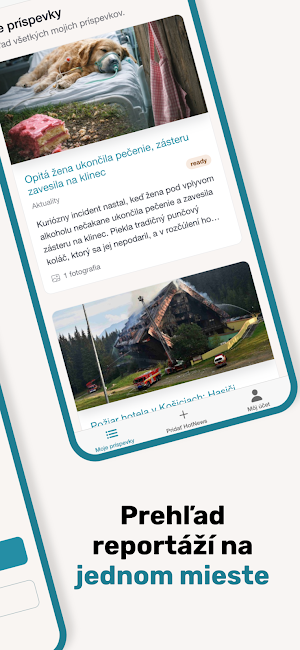 Reporter Screenshot 1