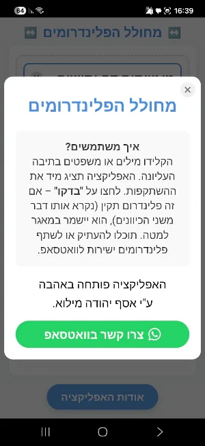 פלינדרומיה Screenshot 2