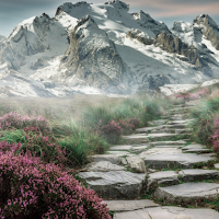 Mountain Live Wallpaper