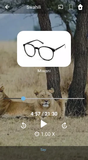 Learn Swahili. Speak Swahili. Study Swahili. Screenshot 2