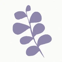 Bloom Studio