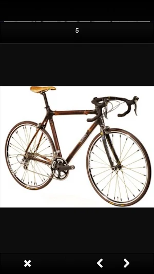 Bamboo Bicycle Designs Screenshot 2