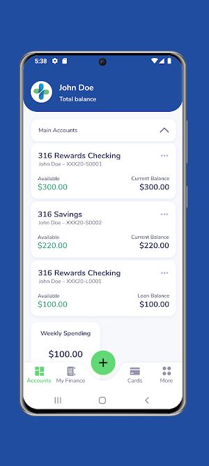 316 Financial Screenshot 1