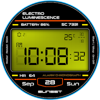 RetroDigits Watch Face