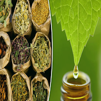 Herbs for the nervous colon