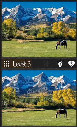 The 5 differences Screenshot 2