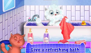 Kitty Pet Daycare - Pet Kitty Salon For Caring Screenshot 2