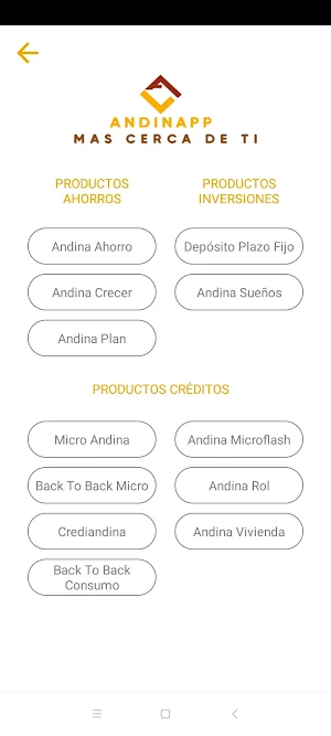 Andina App Screenshot 1