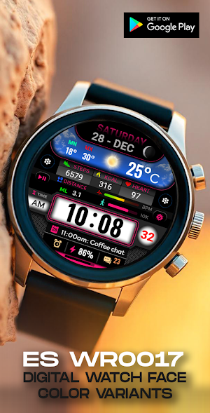 ES WR0017 Screenshot 2