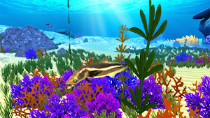 The Cobia Screenshot 0