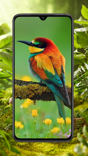 Bird Wallpaper Screenshot 2