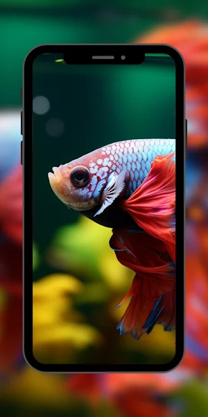 Fish Beautifull Wallpaper Screenshot 1