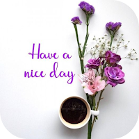 have a nice day pics