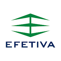 EFETIVA Segurança