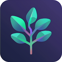 SpendWise - Mindful Spending