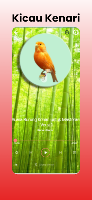 Kicau Burung Kenari Gacor screenshot 2