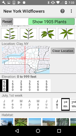 New York Wildflowers Screenshot 1