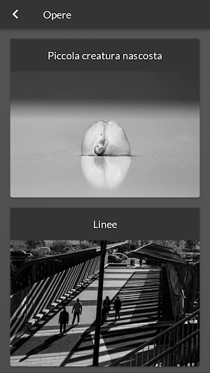 Portfolio di PIETRO GUGLIELMO Screenshot 3