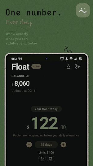 Float — Safe to Spend Screenshot 0