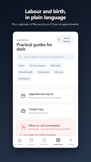 DadGlass Screenshot 1