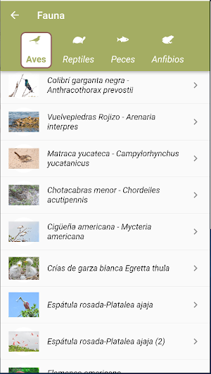 BioConApp Screenshot 3