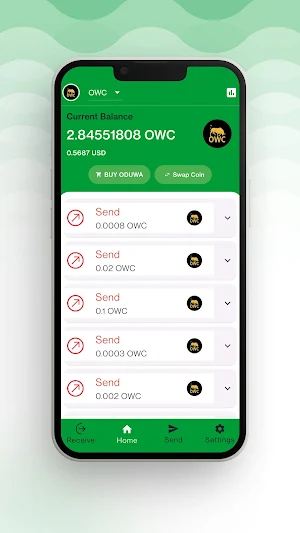OduwaPay - Oduwa Coin Wallet Screenshot 1