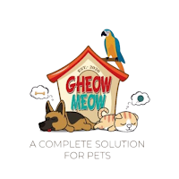 Gheow Meow