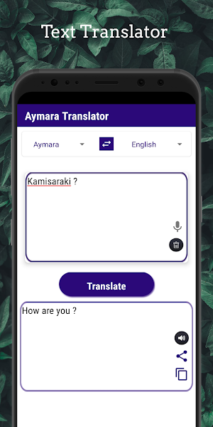 Aymara Translator Screenshot 3