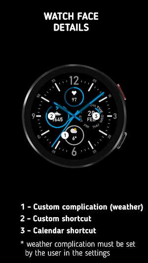 Endurance Watch Face - Lite Screenshot 0