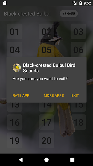 Black-crested bulbul bird sounds Screenshot 3