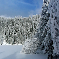 Germany Winter Wallpapers
