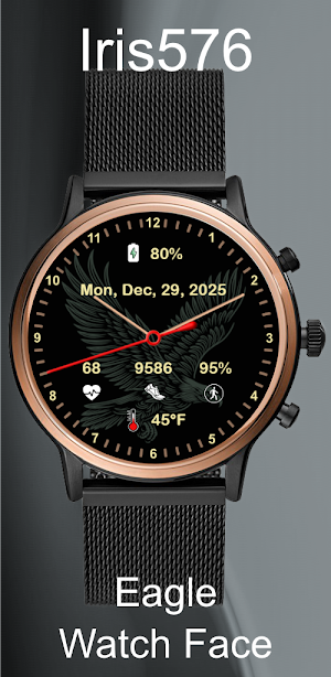 Iris576 Eagle Theme Watch Face Screenshot 2