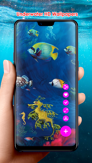 Underwater HD Wallpapers Screenshot 1